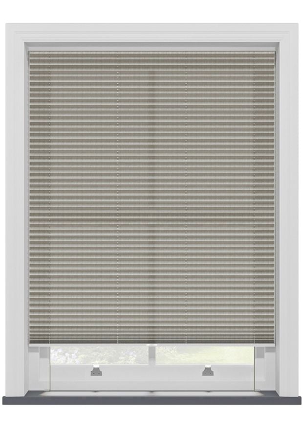 Pale Gold Sheen Pleated Blind