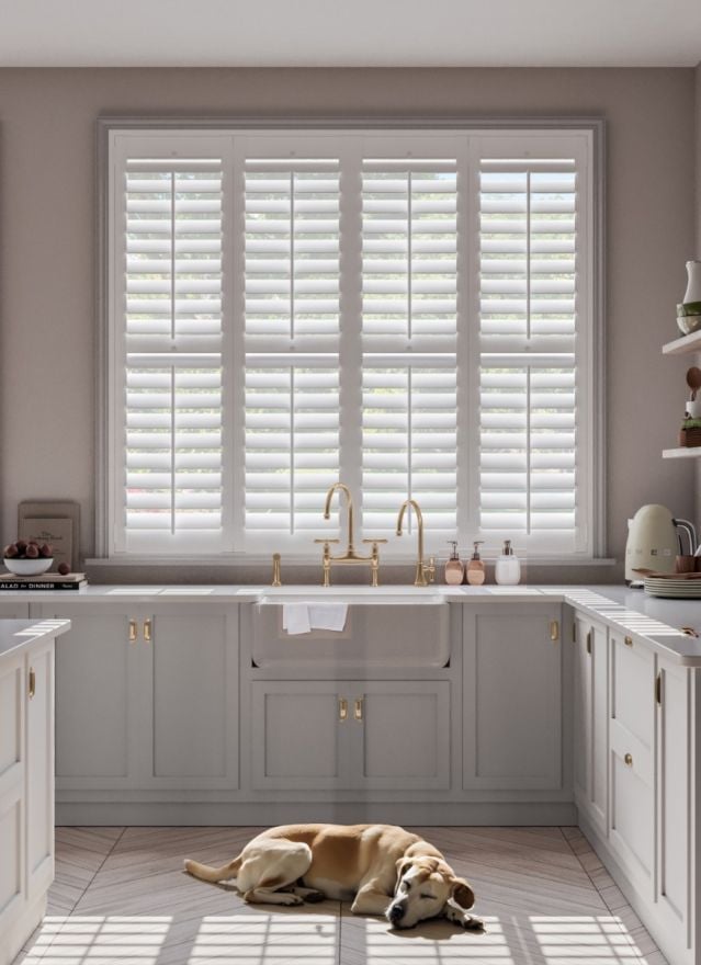 Bright White Full Height Shutter