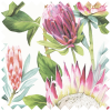 Sanderson King Protea, Rhodera Blackout Roller Blind
