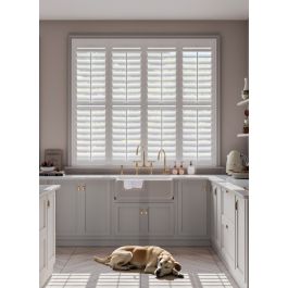 Bright White Full Height Shutter