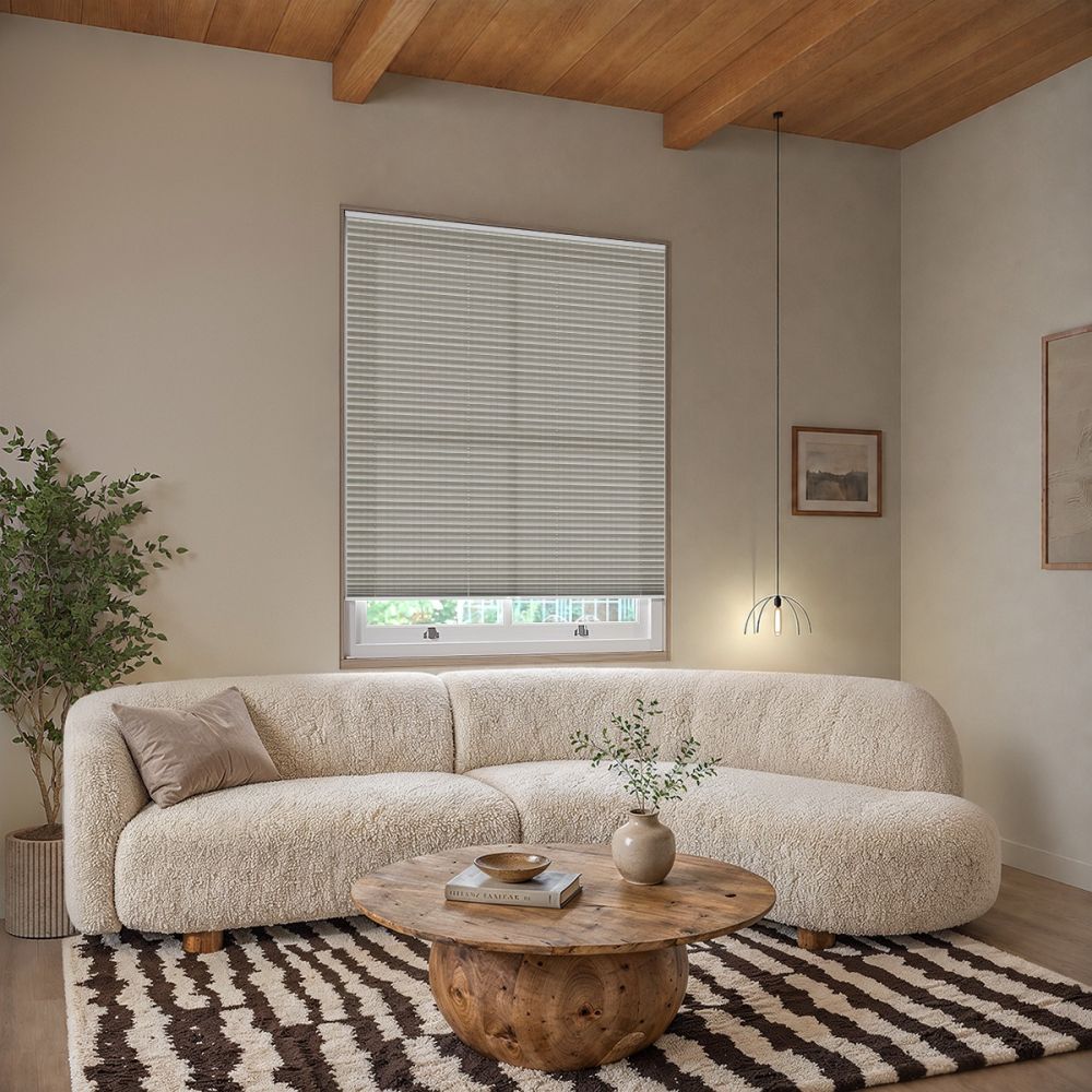 Pale Gold Sheen Pleated Blind