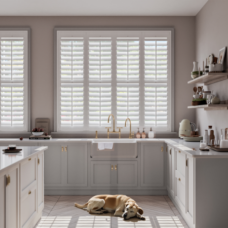 Bright White Full Height Shutter