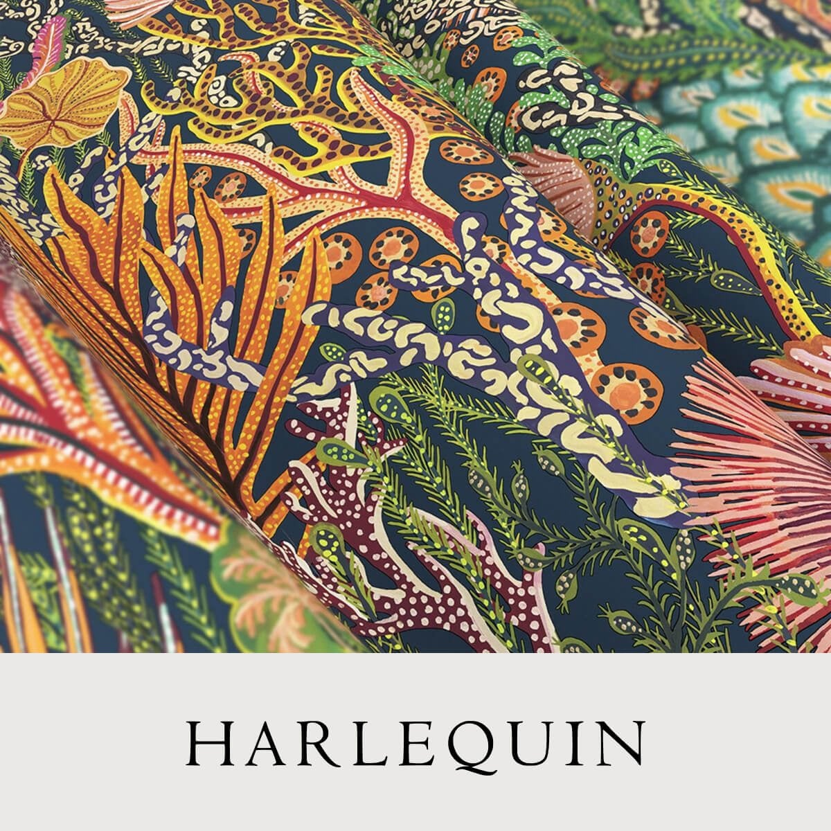 Harlequin