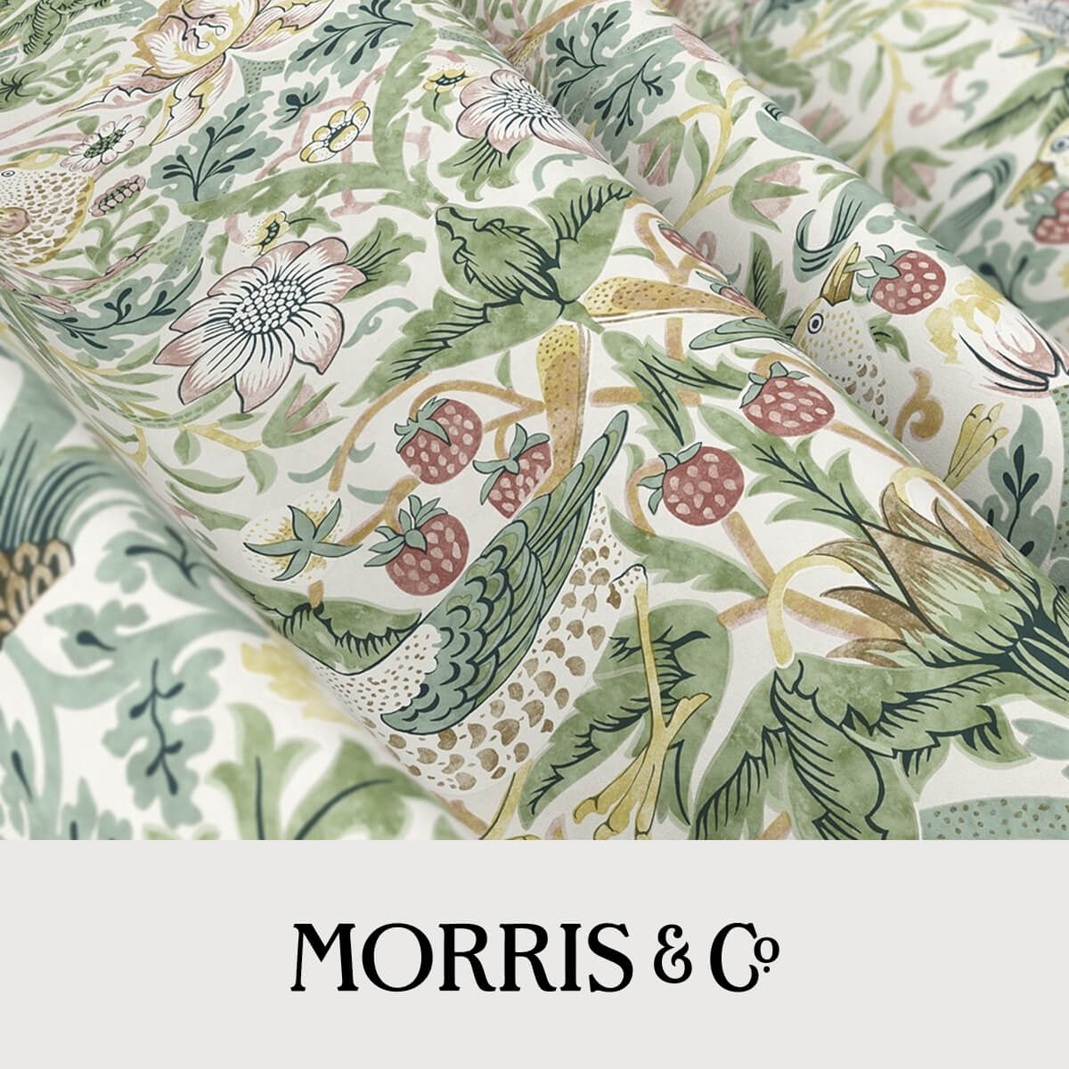 Morris & Co.